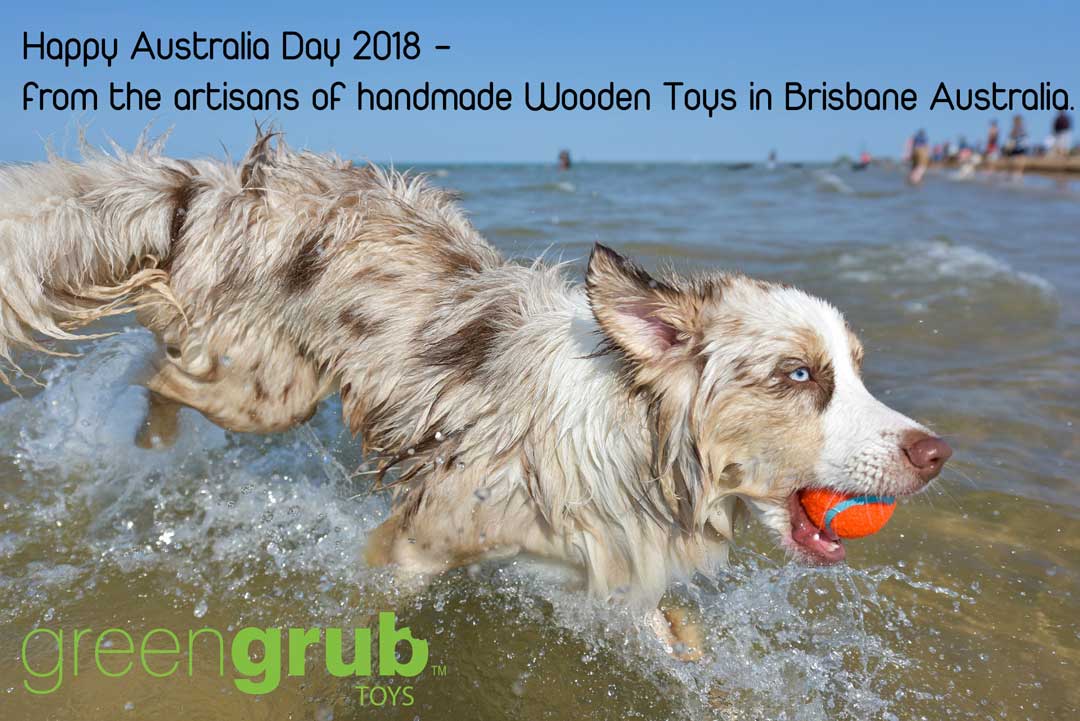 Dog on the beach Australia Day 2018